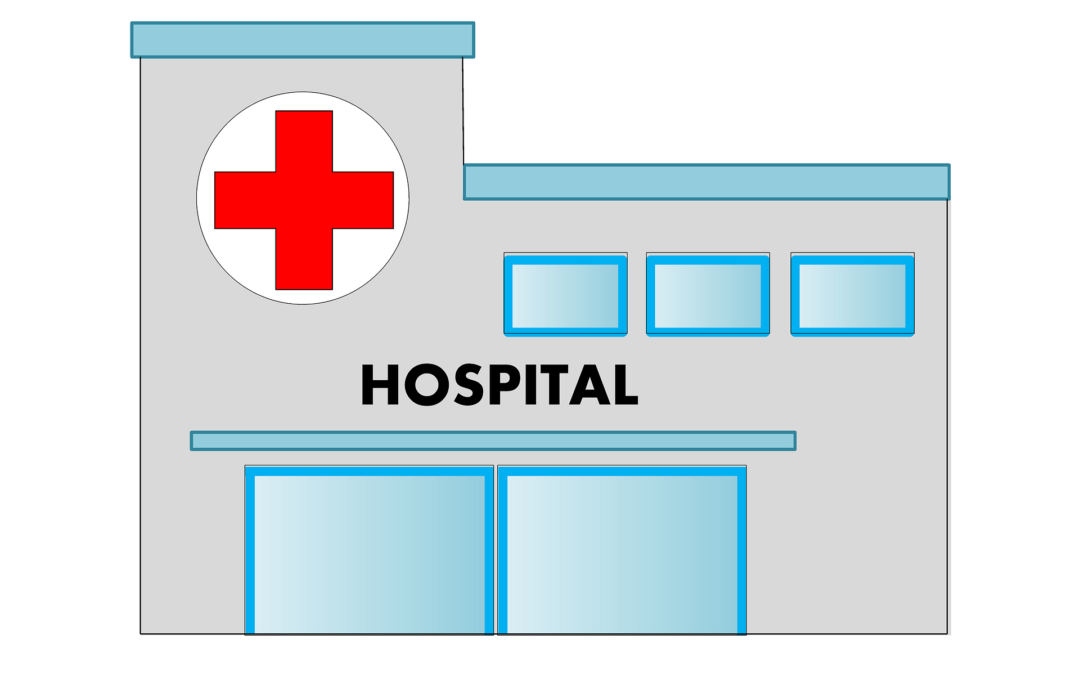 Hospitais de campanha recebem vistorias do Tribunal de Contas